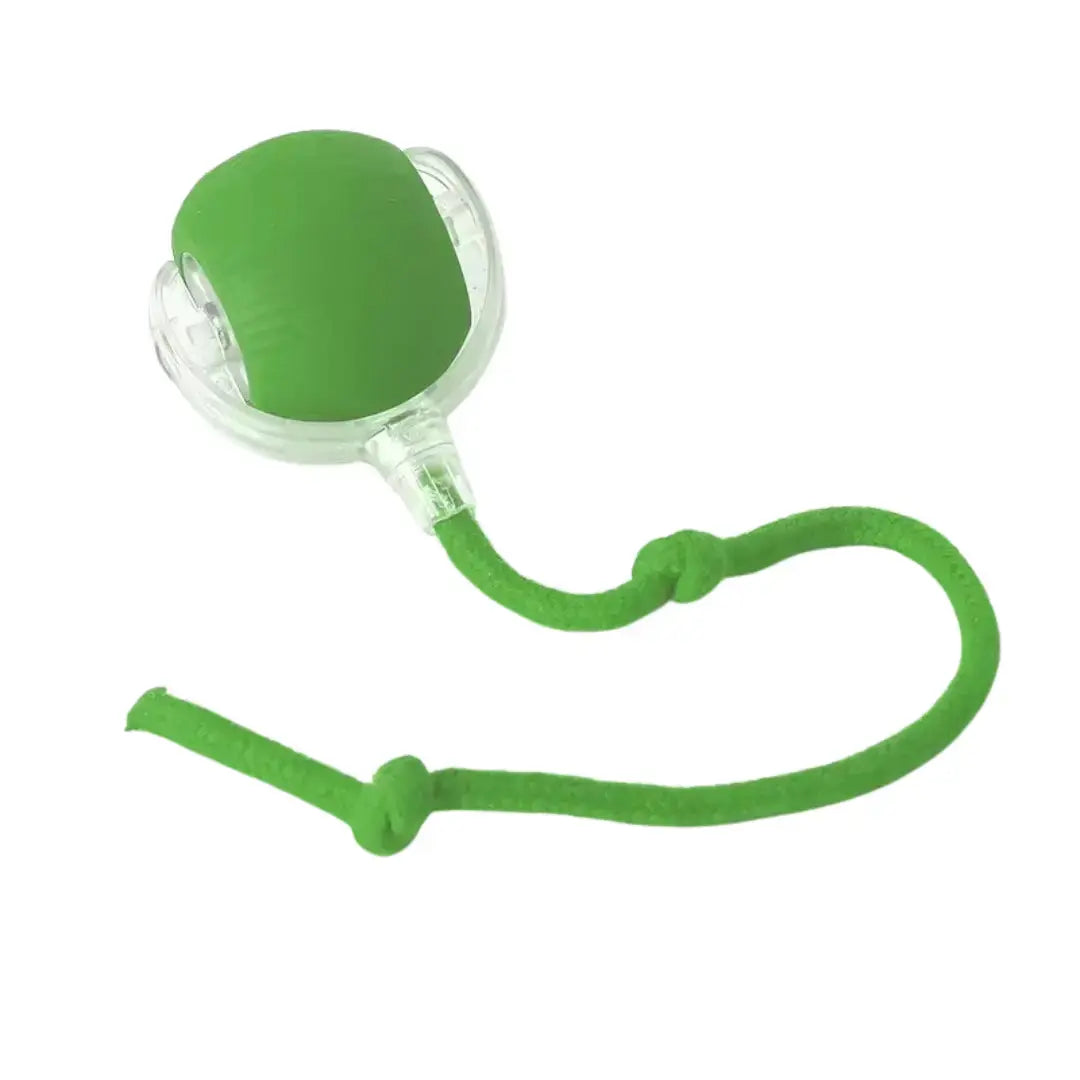 Giocattolo Interattivo per Gatti - FELINIX™